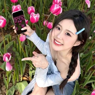 少数意见